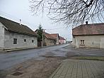 Třibřichy