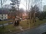 Borovina