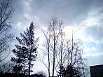 Borovina