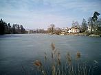 Borovina