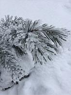 Fotografie