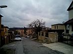Borovina