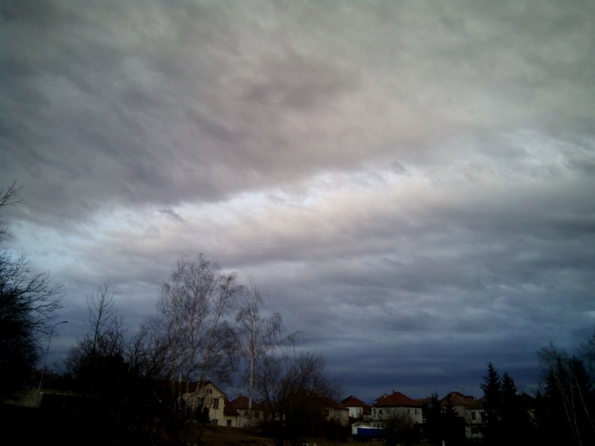 Borovina