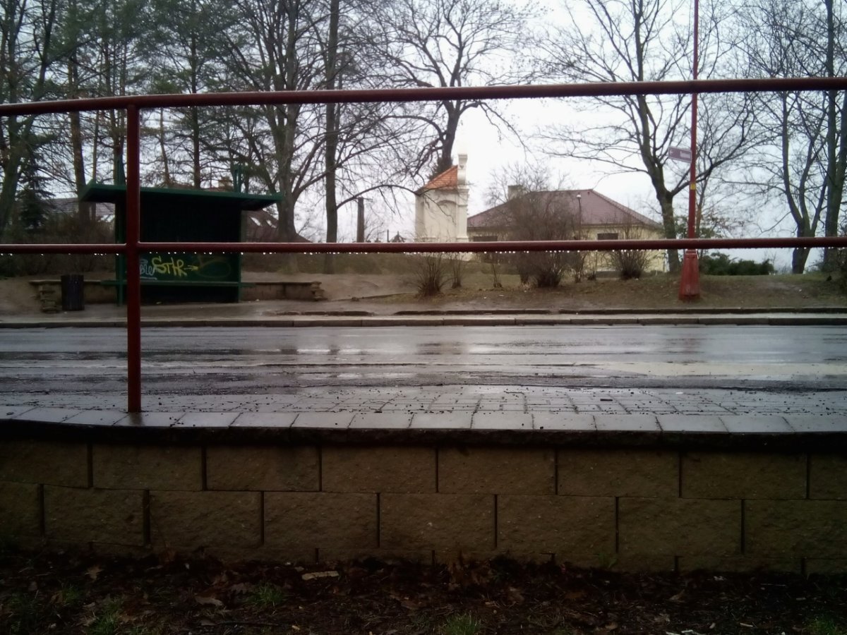 Borovina