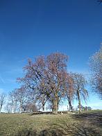 Pacov