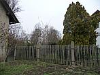 Třibřichy