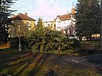 Varnsdorf