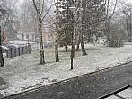 Borovina