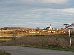 Třibřichy