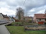 Třibřichy