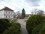 Třibřichy