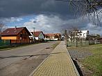 Třibřichy