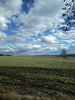 Pacov