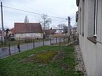 Třibřichy