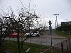 Třibřichy