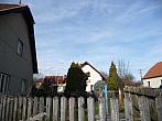 Třibřichy