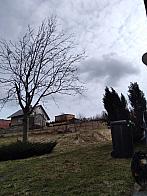 Skalité