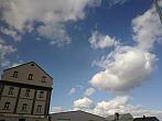 Cvikov