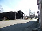 Třibřichy
