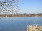 Neratovice