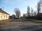 Třibřichy
