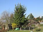 Neratovice