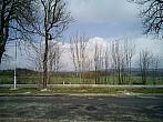 Borovina