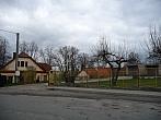 Třibřichy