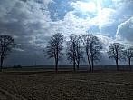 Pacov