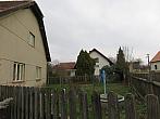 Třibřichy