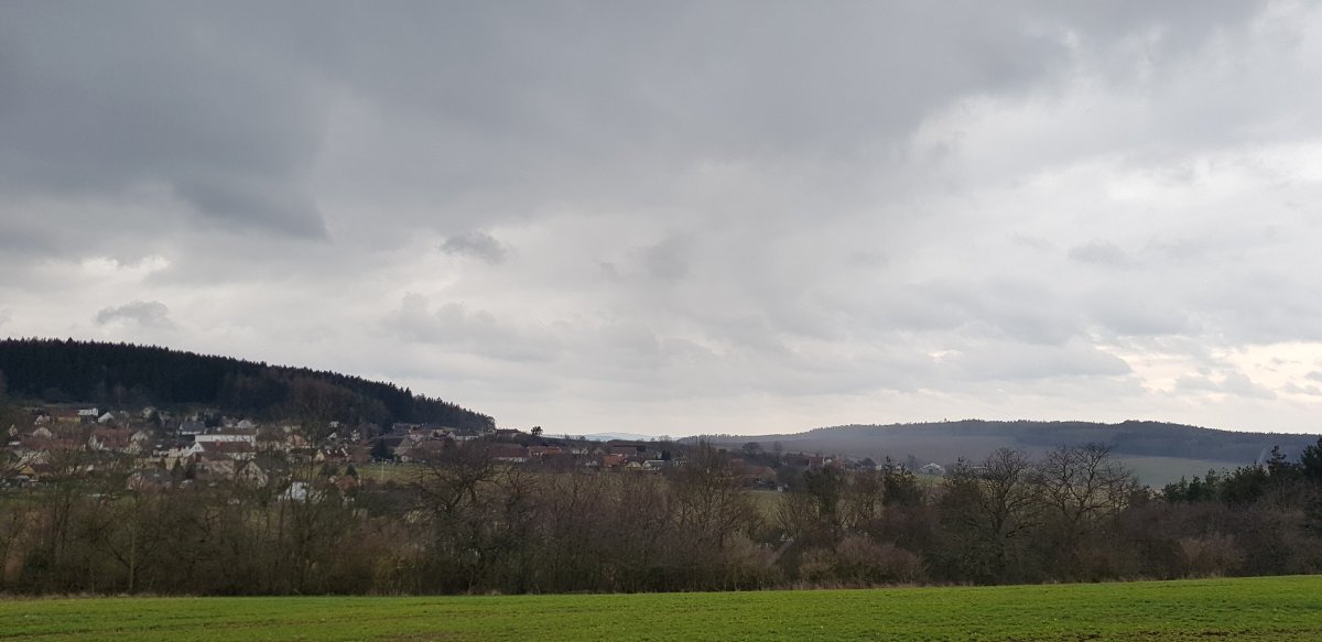 Březina