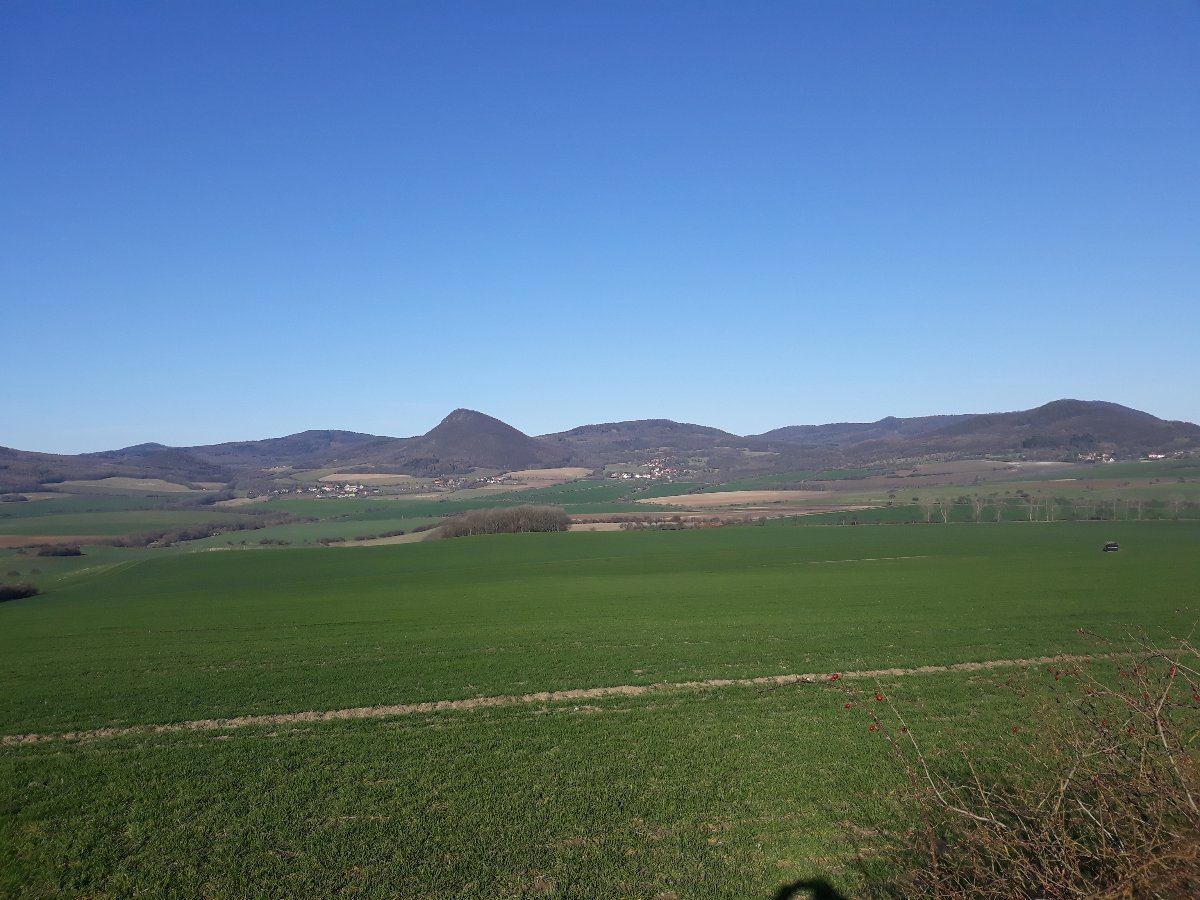 Podsedice