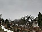 Olešná