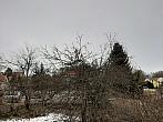 Olešná