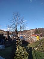 Skalité