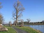 Neratovice