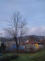 Skalité