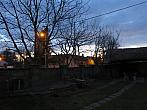 Třibřichy