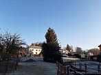 Olešná