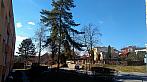 Borovina