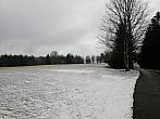 Svratka