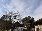 Olešná