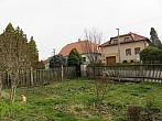 Třibřichy
