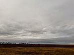 Pacov