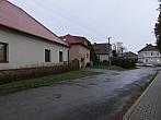 Třibřichy
