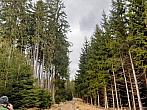 Pacov