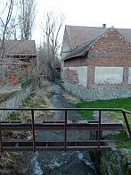 Třibřichy