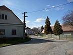 Třibřichy