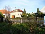Třibřichy