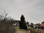 Olešná